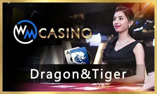 New JILI Slot Game Release